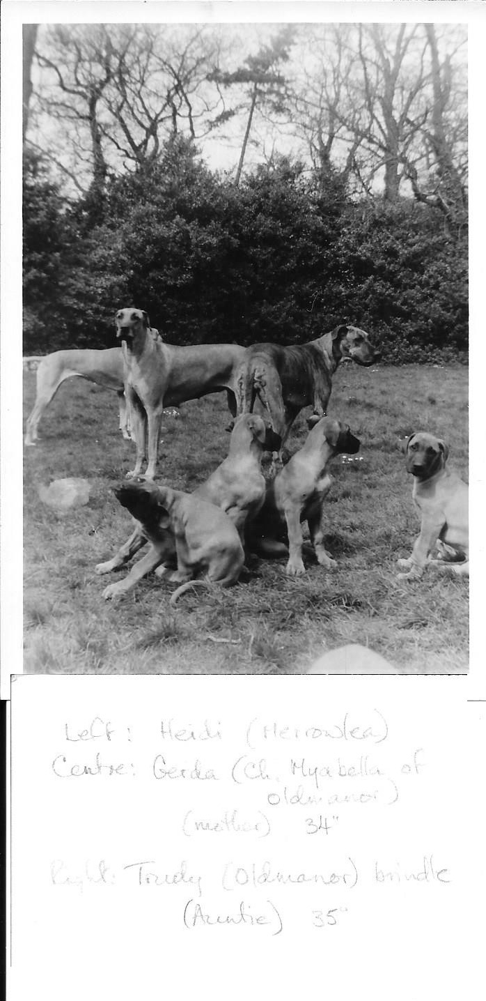 Heidi, Gerda and Trudy